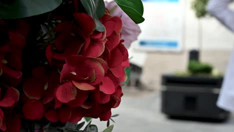 Hanging-flowers-with-a-blurred-background-in-Central-London,-Central-London,-United-Kingdom