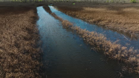 Gansos-Volando-Sobre-El-Estanque-En-El-área-De-Vida-Silvestre-De-Bell-Slough-En-Arkansas,-EE.UU.---Disparo-De-Drones