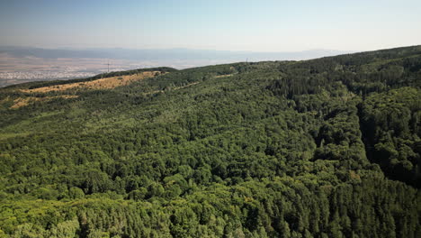 Linear-Push-Forward-Aerial-Over-the-Dense-Forest-of-Vitosha-Reveals-the-city-of-Sofia-Behind-the-Mountain