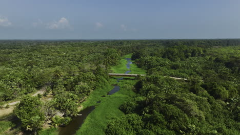 Vista-Aérea-Sobre-Un-Río-Cubierto-De-Maleza-Y-Bosques-De-Manglares-De-Barra-San-José,-Chiapas,-México