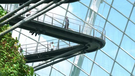 People-walking-on-cloud-forest-aerial-walkway,-the-greenhouse-conservator-with-glass-window-looking-out-at-beautiful-blue-sky,-Gardens-by-the-bay,-the-iconic-attraction-of-Singapore