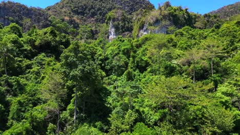 Unberührte-Naturunzugängliche-Terra-Natur-Dschungel-Berge