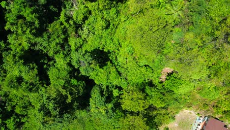 Untouched-natureInaccessible-Terra-nature-jungle-mountains