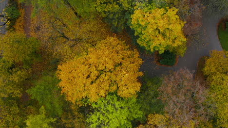 Draufsicht-Auf-Bäume-Mit-Bunten-Blättern-In-Herbstfarben-Im-Park-Mit-Gassen