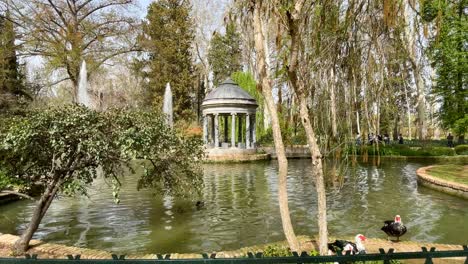 filming-focused-on-a-pond-with-a-beautiful-blue-marble-temple,-striking-ducks,-jets-of-water,-lush-vegetation-and-people-visiting-it-on-a-spring-morning-with-a-blue-sky-in-the-Jardin-de-el-Principe