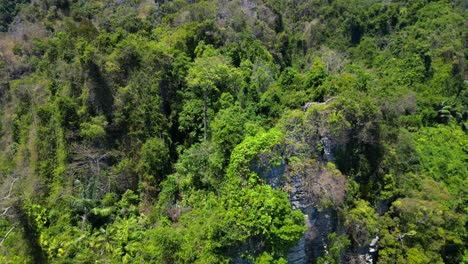 Untouched-natureInaccessible-Terra-nature-jungle-mountains