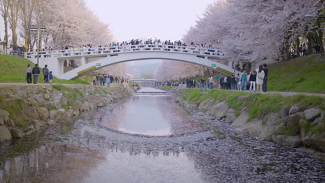 Gente-En-El-Puente-Y-Senderos-Para-Caminar-En-El-Parque-Forestal-De-Los-Ciudadanos-De-Yangjae-Durante-La-Primavera-En-Seocho,-Seúl,-Corea-Del-Sur