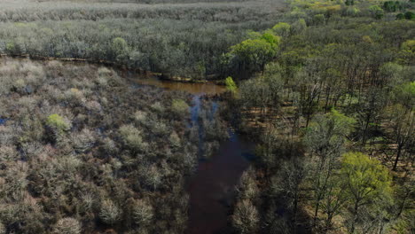 Aerial-View-Of-Wetlands-In-Bell-Slough-Wildlife-Area,-Arkansas,-USA---Drone-Shot