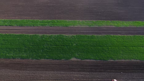 Tractor-working-on-farmland,-plowing-field-in-spring,-aerial-shot