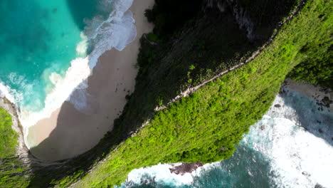 Summit-of-lush-green-vegetation,-paradise-beach-location