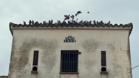 Auf-Der-Alten-Und-Verwitterten-Struktur-Versammeln-Sich-Vögel-Vor-Dem-Hintergrund-Eines-Bewölkten-Himmels-Und-Erwecken-Ein-Gefühl-Von-Nostalgie-Und-Rustikalem-Charme,-Das-An-Vergangene-Epochen-Und-Vintage-Reiz-Erinnert