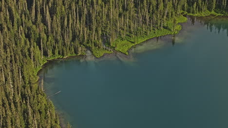 Lower-Joffre-Lake-BC-Canada-Aerial-v3-zoom-birds-eye-view-captures-turquoise-blue-lake,-showcasing-beauty-of-nature,-pine-forests-and-pristine-water-reflection---Shot-with-Mavic-3-Pro-Cine---July-2023