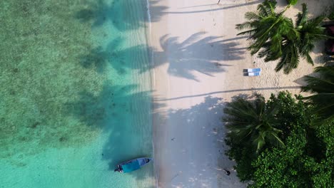 Empty-beach-with-palm-tree-shadow-in-the-morning