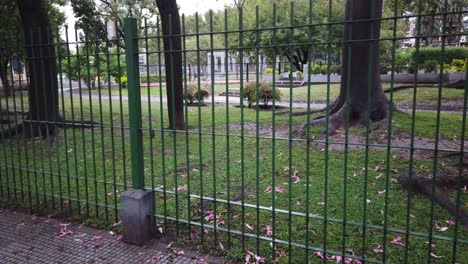 Fences-below-closed-park-with-silk-floss-trees-flowers-at-buenos-aires-city-argentina-in-a-rainy-day