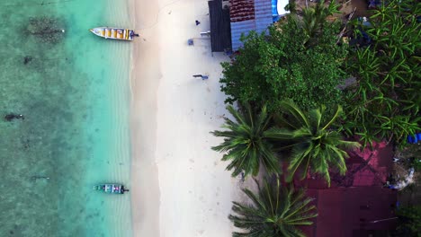 Empty-beach-with-palm-tree-shadow-in-the-morning