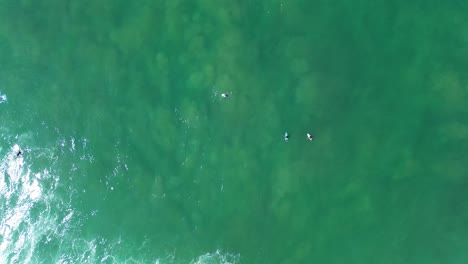 Aerial-drone-bird's-eye-shot-of-surfers-waiting-for-ocean-waves-water-sea-extreme-sports-point-break-in-Midigama-beach-Sri-Lanka-Asia-travel-tourism