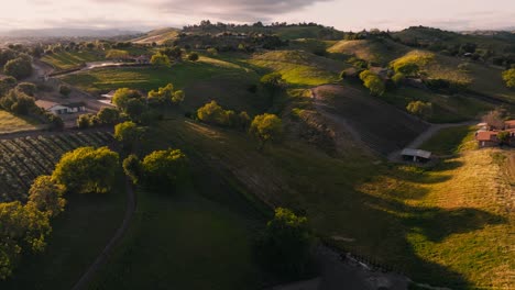 Luftaufnahmen-Von-Wunderschönen-Sanften-Hügeln-Im-Weinanbaugebiet-Santa-Ynez,-Weinbergen-Und-Anwesen-Mit-üppigen-Bäumen-Und-Grünem-Gras