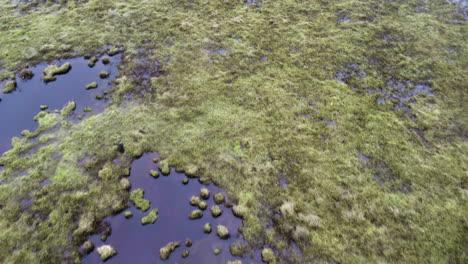 Flying-Over-a-Moss-Wetland-Landscape-Close-Up-Aerial