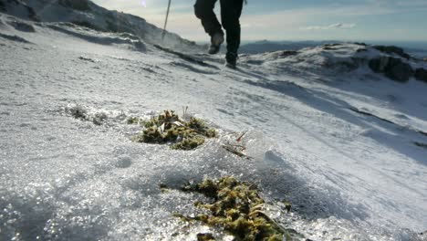 Wanderer-Besteigt-Schneebedeckten-Berg-Mit-Wind-Weht-Schnee---Ben-Resipol---Schottland