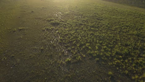 Aerial-clip-bushland-in-remote-outback-Australia,-late-afternoon
