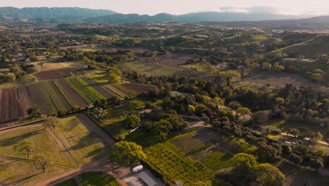 Luftaufnahmen-über-Felder-Und-Wohngebiete-In-Santa-Ynez,-Kalifornien,-Weinanbaugebiet-Und-Bauernhöfe-Bei-Sonnenuntergang