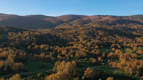 Flug-In-Einem-Wald-Aus-Eichen-Und-Kastanien-Bei-Einem-Herbstsonnenuntergang-In-Der-Goldenen-Stunde,-Wobei-Sich-Die-Goldene-Farbe-Der-Sonnenstrahlen-Mit-Der-Braunen-Farbe-Der-Blätter-Vermischt,-Es-Gibt-Einen-Blauen-Himmel,-Avila,-Spanien