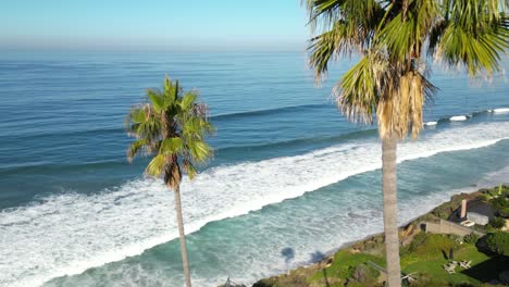 Flying-Between-Palm-Trees-Over-Beautiful-California-Coast