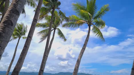 Leaning-Palm-Trees-Over-Waves-and-Sand-of-White-Beach,-Boracay,-Philippines