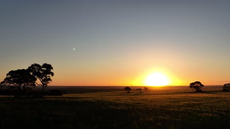 ángulo-Bajo-Del-Campo-Iluminado-Al-Atardecer