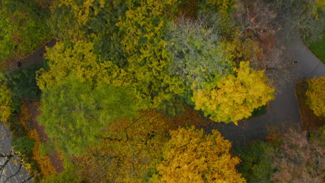 Top-down-view-of-trees-with-colorful-leafs-in-autumn-colors-in-park-with-alleys