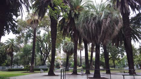 Städtischer-Platz-Mit-Palmen,-Plaza-Angel-Gris,-Kompakter-Städtischer-Platz-Mit-Palmen-Im-öffentlichen-Raum-Von-Buenos-Aires,-Argentinien