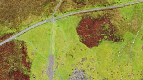 Luftaufnahme-Von-Oben-Mit-Blick-Nach-Unten-Auf-Die-Kontrastierenden-Farben-Von-Heidekraut-Und-Moorlandschaft-In-Den-Glencoe-Mountains-In-Schottland