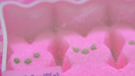Close-up-pan-of-hot-pink-bunnies-marshmallow-treats