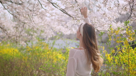 Woman-Touching-Flowers-Of-Cherry-Blossom-On-A-Breezy-Day-In-Yangjae-Citizen's-Forest-Park-In-Seocho,-Seoul,-South-Korea