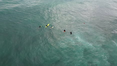 Aerial-view-of-surfers-looking-to-catch-waves