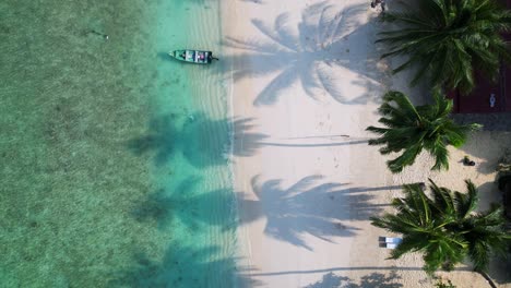 boats-on-Empty-beach-with-palm-tree-shadow-in-the-morning
