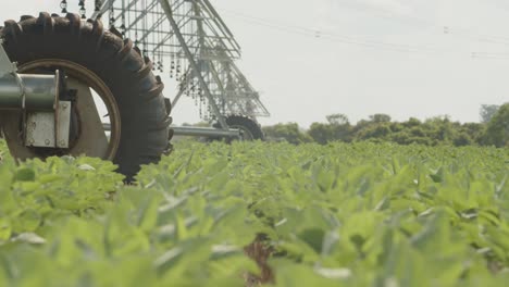 Irrigation-system-in-a-soyabean-field