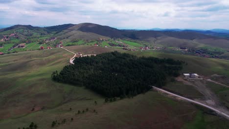 Aerial-View-of-Pine-Forest-and-Green-Hills-With-Pastures