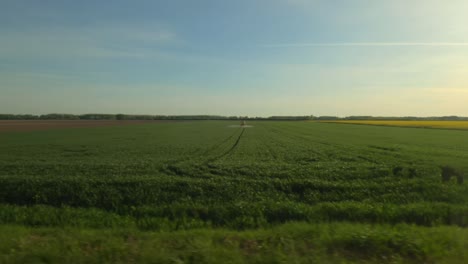 Fahrt-Durch-Die-Landschaft-Und-Kultivierte-Rapsfelder-Im-Frühlingssonnenuntergang,-Seitenansicht