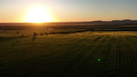 Drohne-Schwebt-über-Felder-Im-Sonnenuntergang