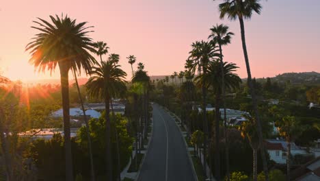 Drohne-Fliegt-Durch-Beverly-Hills,-Von-Palmen-Gesäumte-Berühmte-Straße-Bei-Sonnenuntergang,-Pastellrosa-Himmel-Darüber-Und-Wunderschöne-Häuser-Darunter