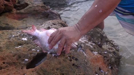 Male-hands-removing-the-fish-bones-with-a-knife-on-sea-rocks