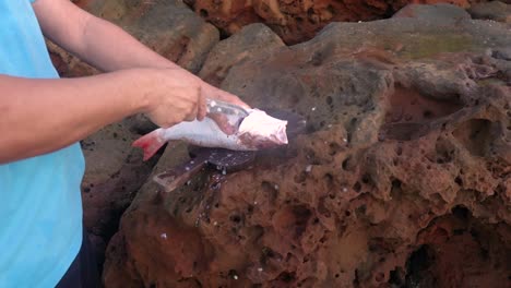 Limpieza-De-Capturas-Frescas:-Manos-Masculinas-Quitando-Espinas-De-Pescado-Junto-A-La-Orilla