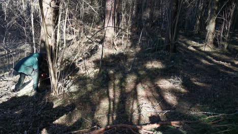 Un-Leñador-Corta-Un-árbol-Con-Una-Motosierra-En-Un-Bosque.