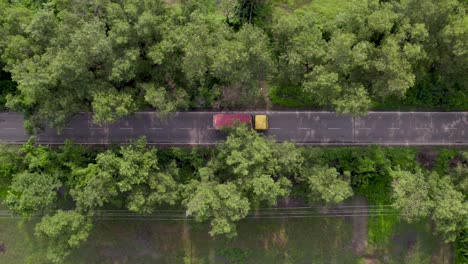 Cargo-Truck-cruising-down-a-straight-asphalt-highway-through-a-dense-forest