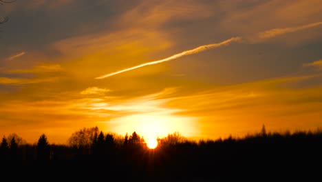 Epischer,-Gesättigter-Goldener-Sonnenuntergangshimmel-Mit-Waldsilhouette-Und-Kondensstreifen-Von-Flugzeugen