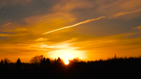 Epic-saturated-golden-hour-sunset-sky-with-forest-silhouette-and-plane-contrail