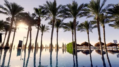 Sunrise-Over-The-Pool-With-Palm-Trees-Next-To-The-Red-Sea-In-Egypt