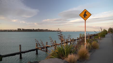 The-famous-sign-on-the-shore-indicating-a-penguin-habitat-at-Caroline-Bay-Beach