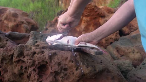 Zubereitung-Der-Küstenküche:-Männerhände-Reinigen-Fischgräten-Am-Meeresufer